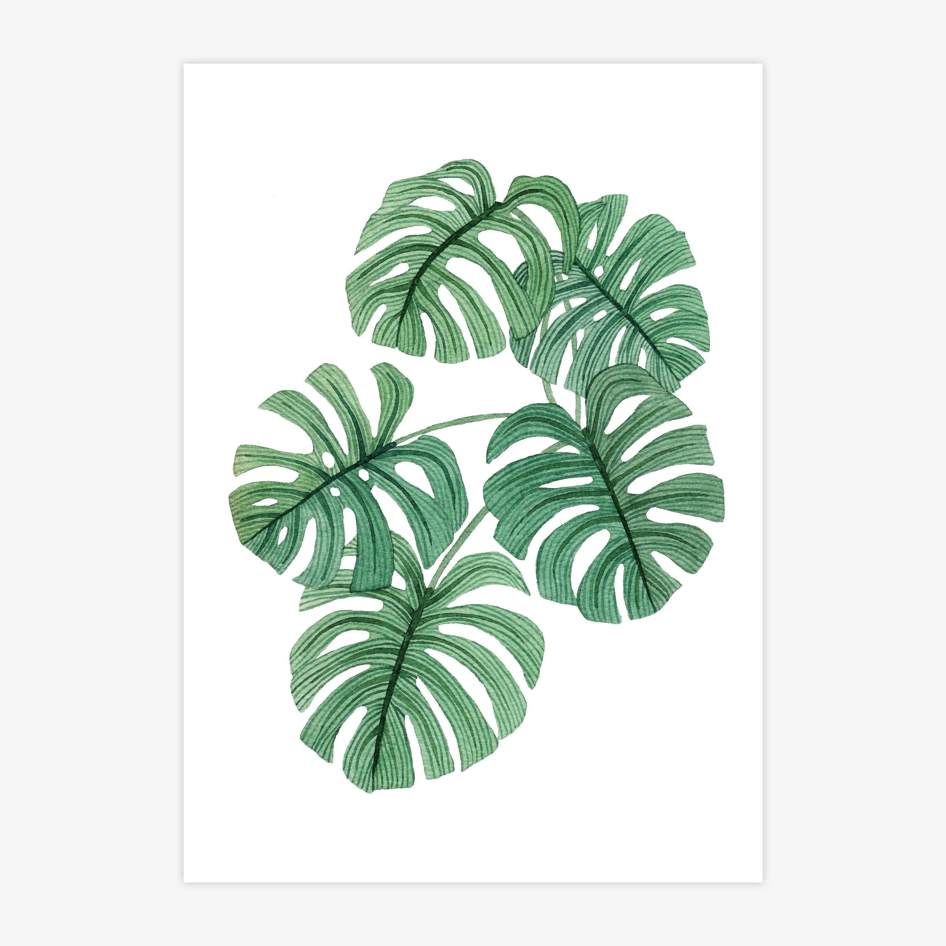 Swiss Cheese Plant Print – Handmade Nottingham